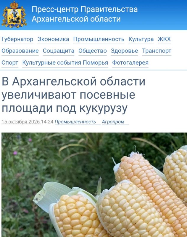 Фото поста канала  АрхСвобода