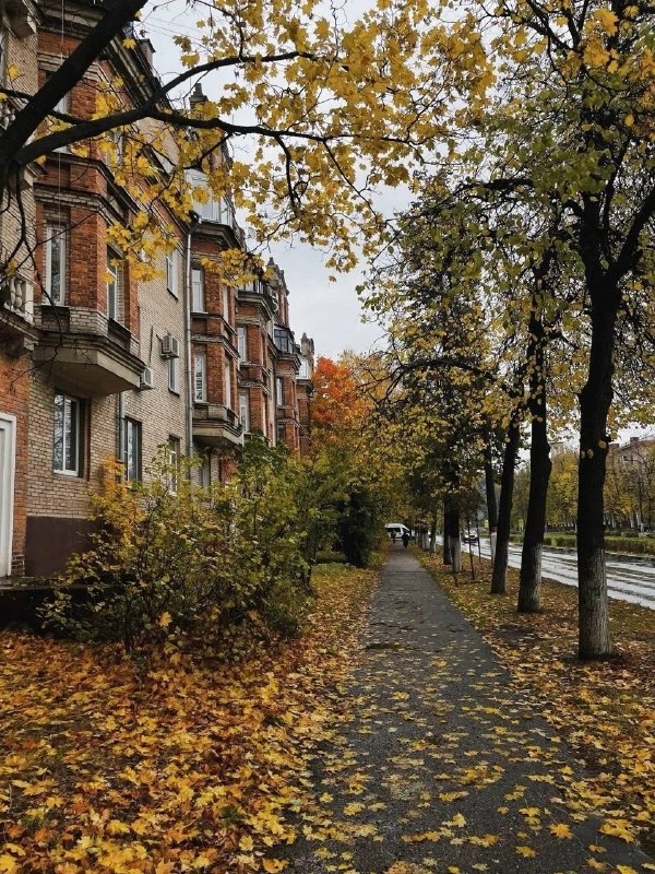 Фото поста канала ГородОК Жуковский Раменское