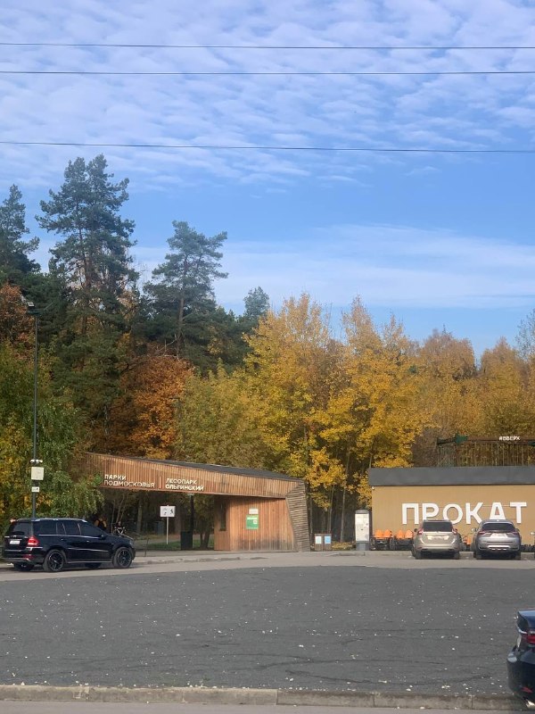 Фото поста канала  НОВОЕ ПАВЛИНО