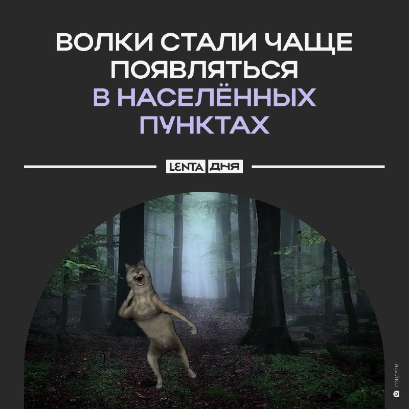 Фото поста канала Лента дня