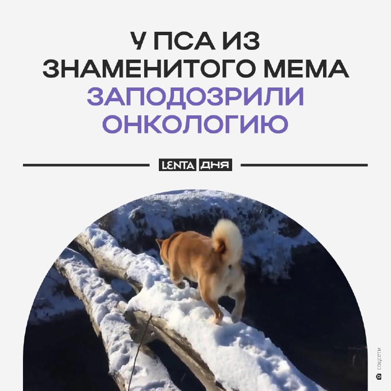 Фото поста канала Лента дня