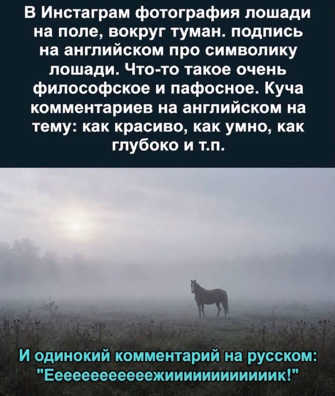 Фото поста канала  MPA Antiterror. Честный канал 🇷🇺