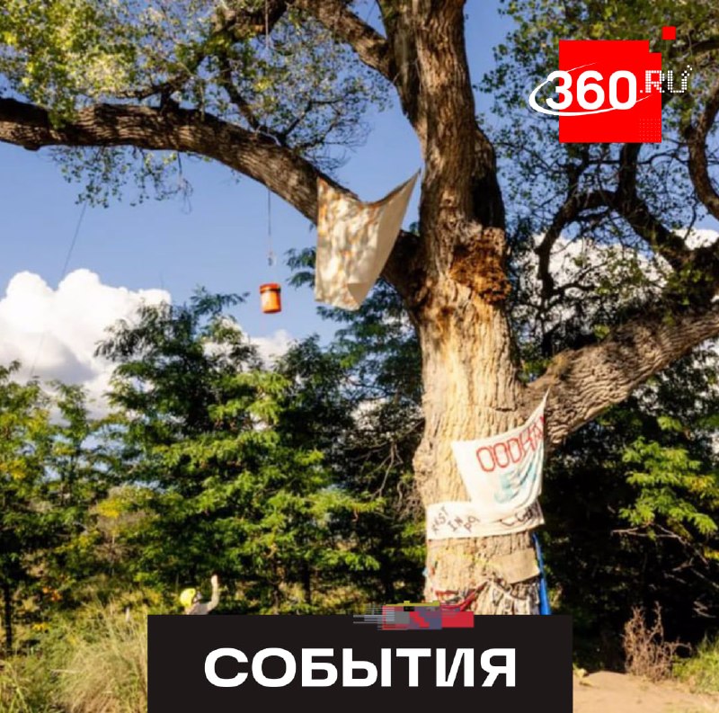 Фото поста канала  360.ru