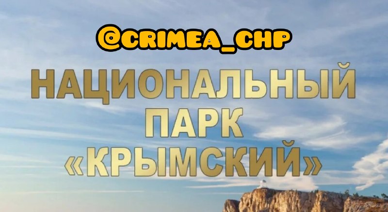 Фото поста канала  ЧП / КРЫМ 🆘🔞