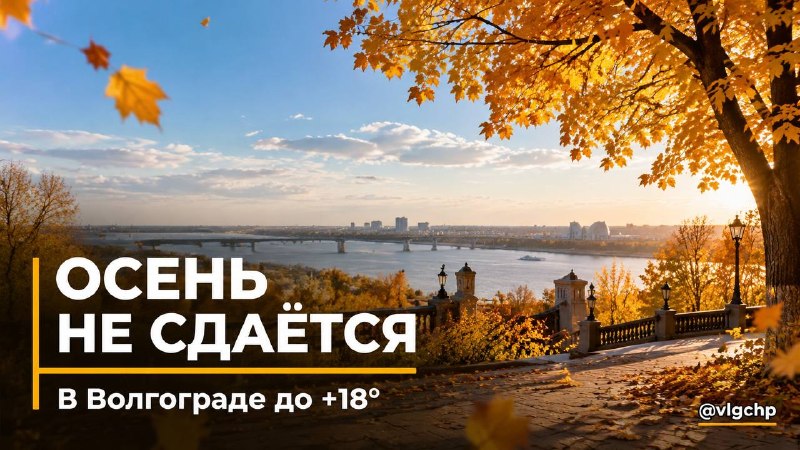 Фото поста канала  Волгоград