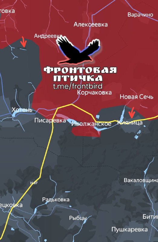 Фото поста канала  Фронтовая птичка