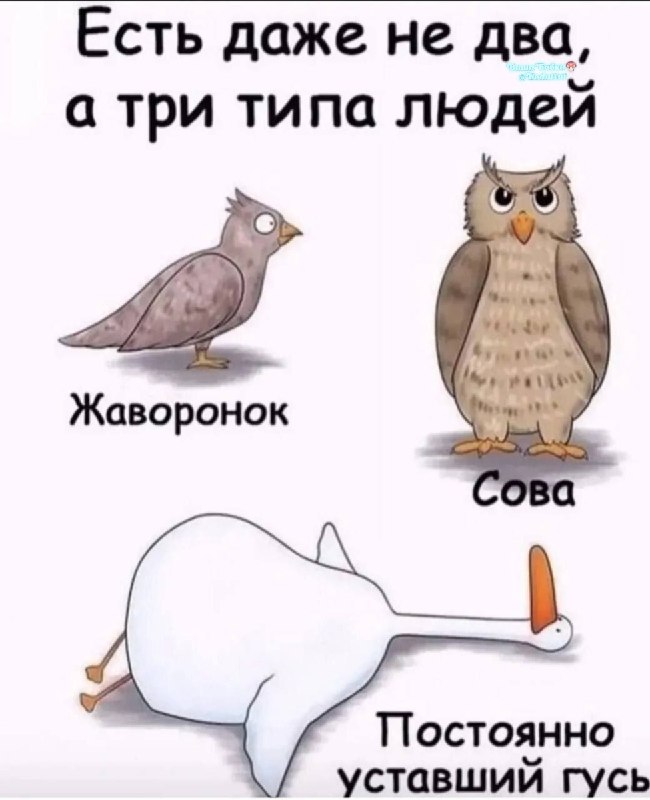 Фото поста канала  Ходють тут всякие!🍄