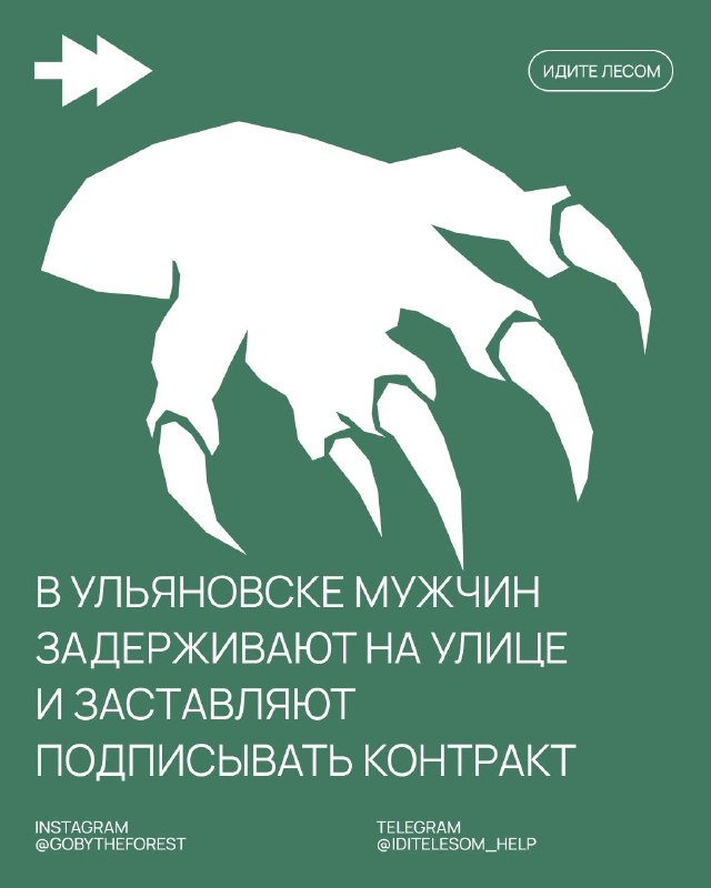 Фото поста канала Идите лесом!