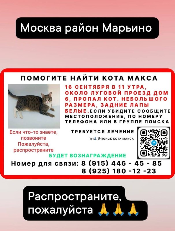 Фото поста канала  Марьино