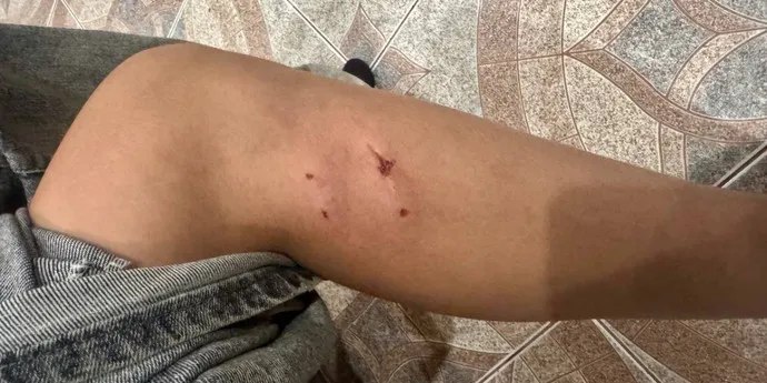 Фото поста канала  Виртуальный Брест новости