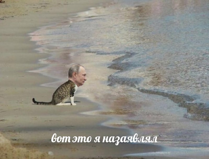 Фото поста канала  Лентач