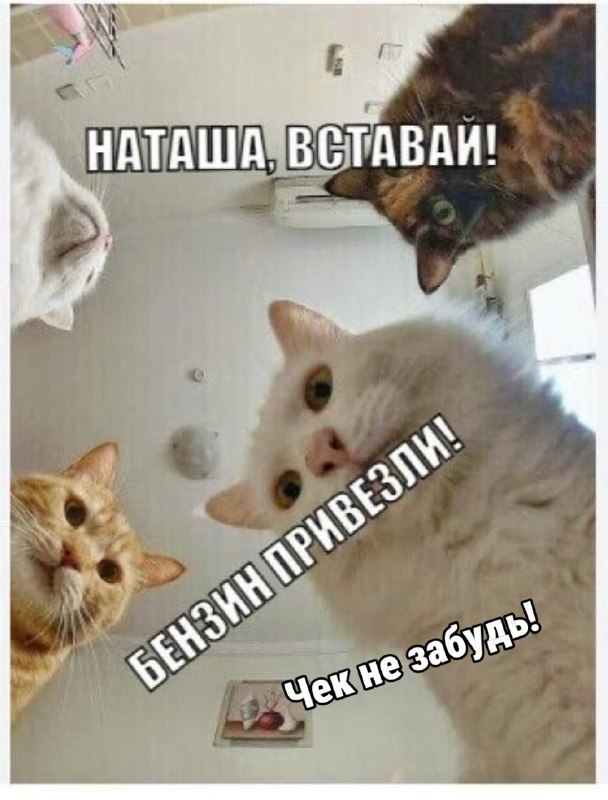 Фото поста канала  Фонтанка SPB Online