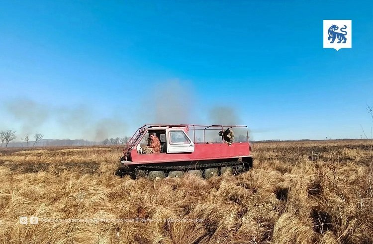 Фото поста канала  Мониторинг 25 Приморский край