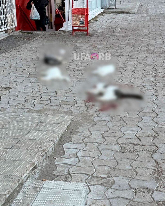 Фото поста канала @Ufa_rb | Новости. Уфа Башкортостан
