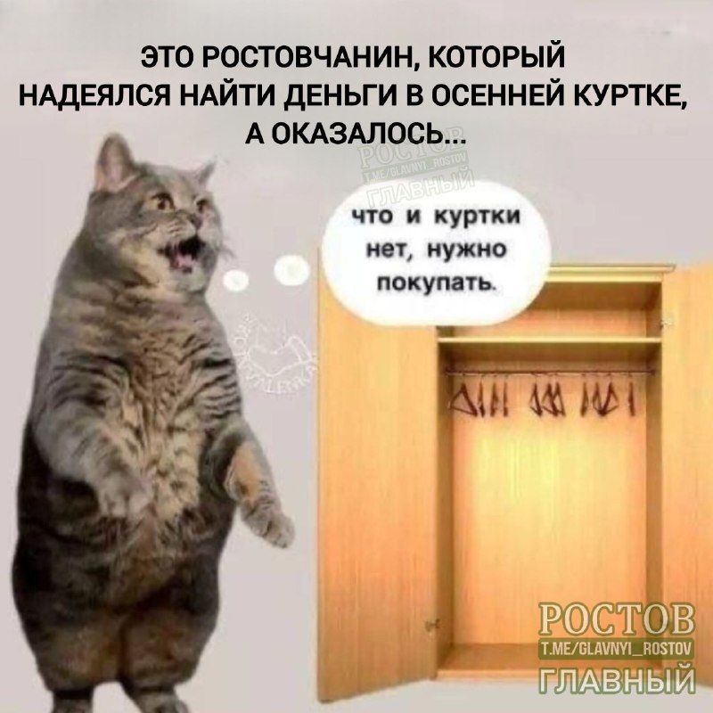 Фото поста канала  Ростов Главный новости