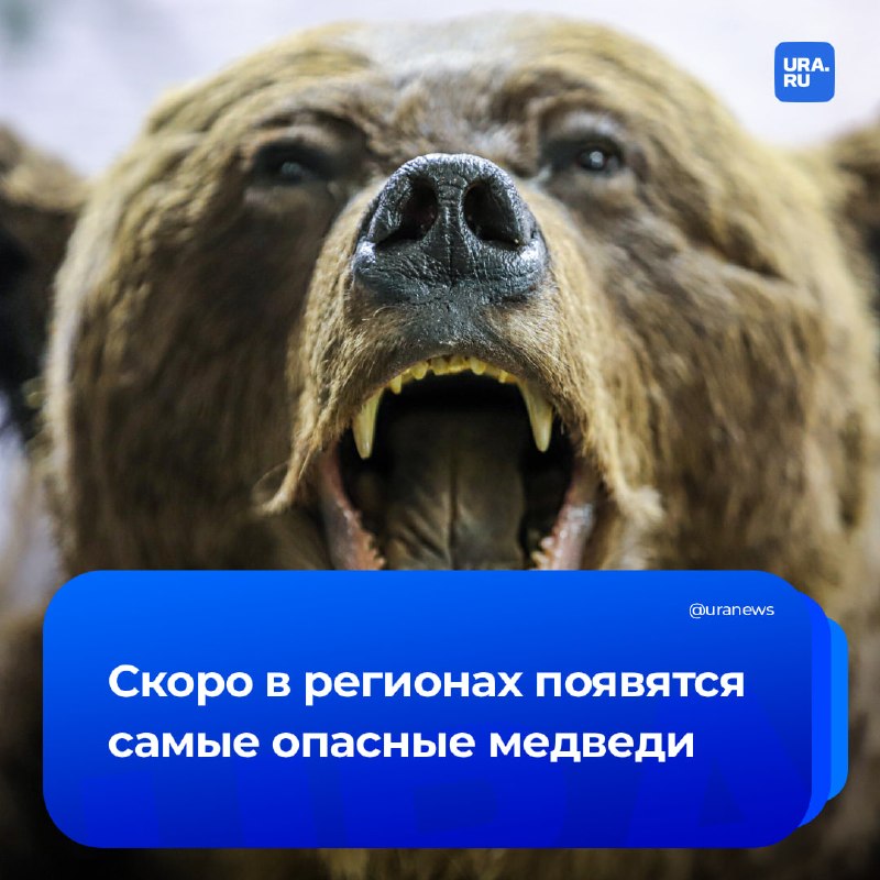 Фото поста канала  URA.RU