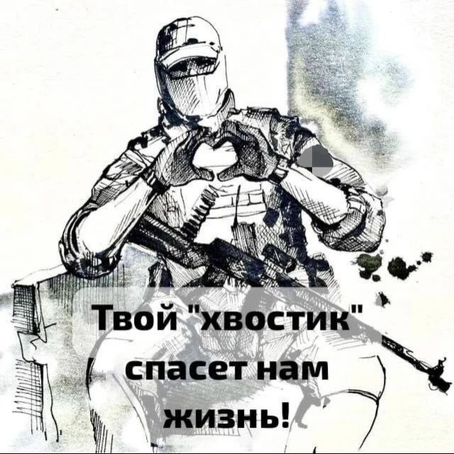 Фото поста канала  Кот канал-Z 🧌