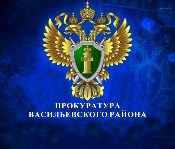Фото поста канала  Администрация Васильевского муниципального округа