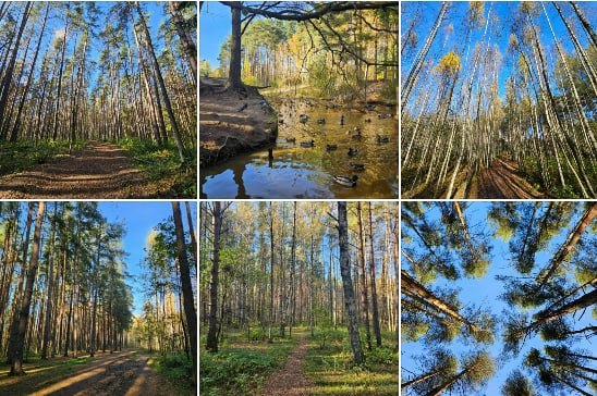 Фото поста канала  Мониторинг 29 Архангельская область