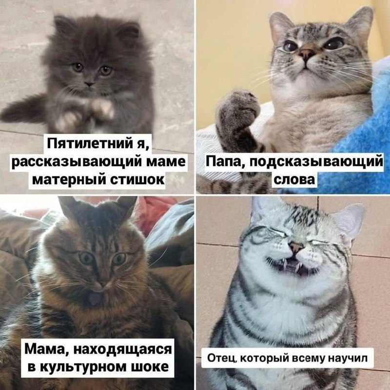 Фото поста канала Москва с огоньком
