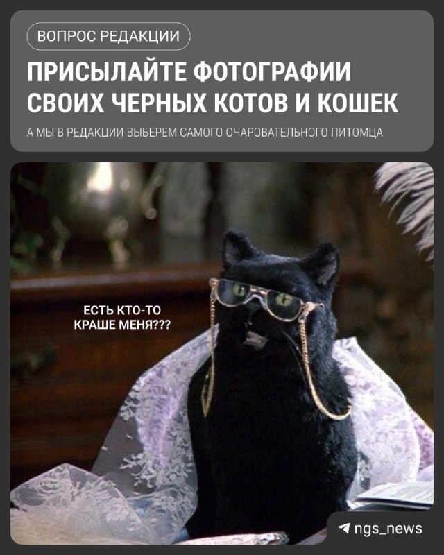 Фото поста канала НГС — новости Новосибирска