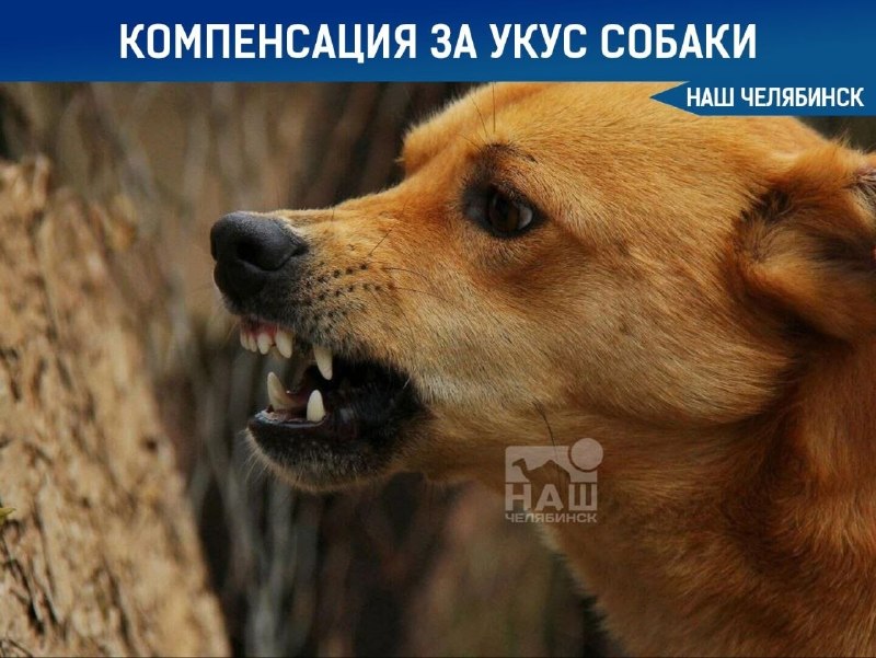 Фото поста канала  Наш Челябинск