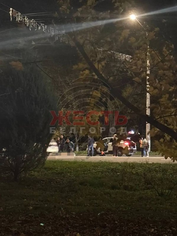 Фото поста канала  Правдивый Белгород📢