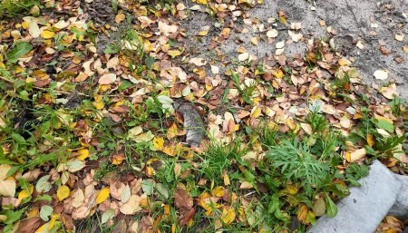Фото поста канала  АрхДайджест