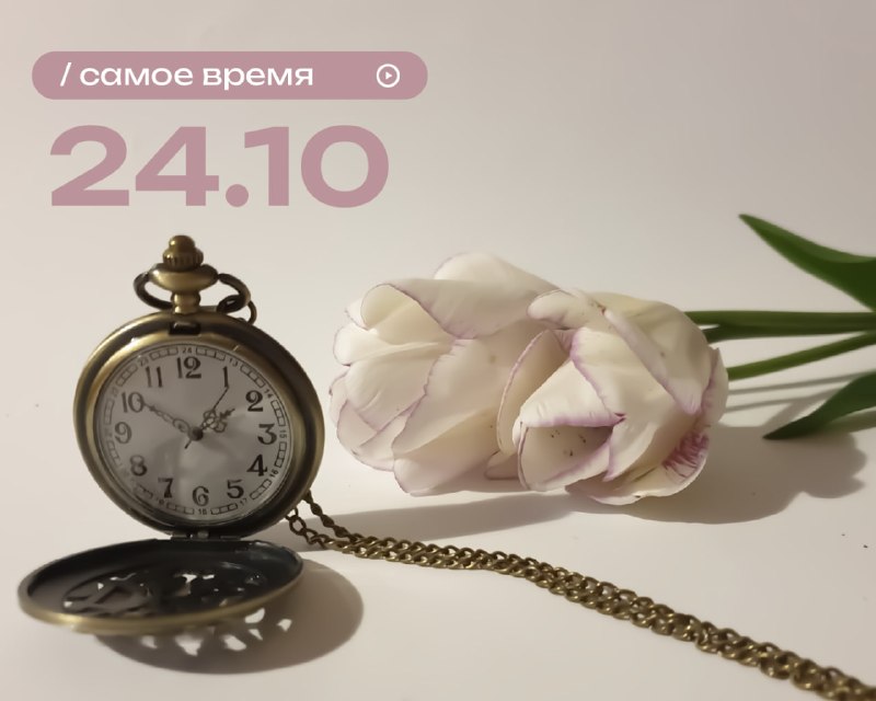 Фото поста канала Василиса Володина