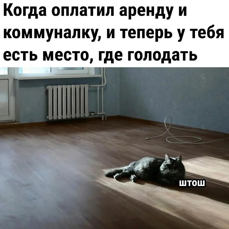 Фото поста канала Комсомольская правда: KP.RU