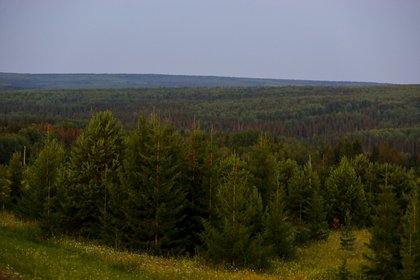 Фото поста канала  Лента Новостей