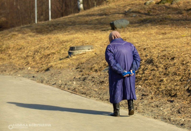 Фото поста канала  Мониторинг Арктика