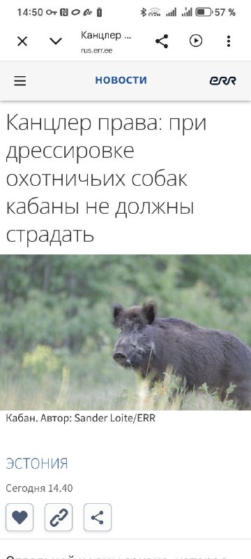 Фото поста канала  BALTNEWS