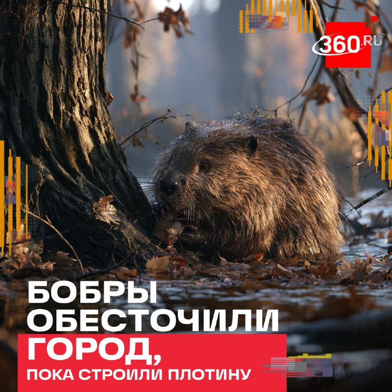 Фото поста канала  360.ru