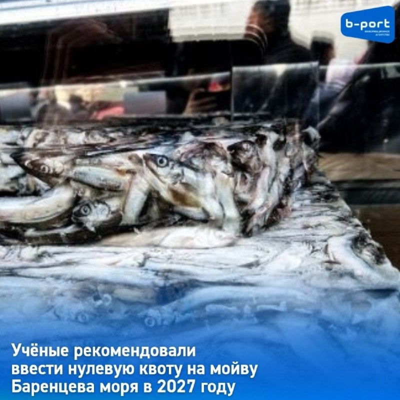 Фото поста канала  Мониторинг Арктика