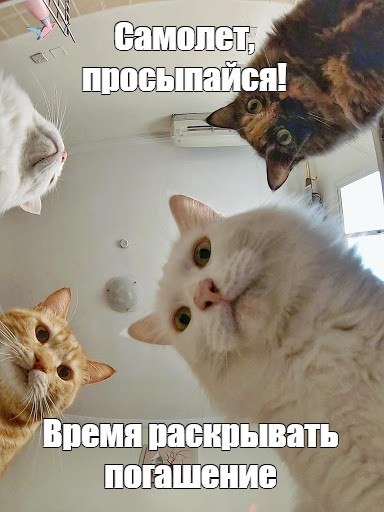 Фото поста канала IF Bonds — Облигации РФ