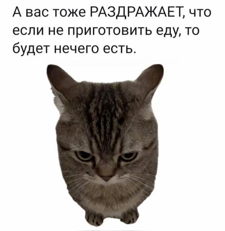 Фото поста канала Onliner