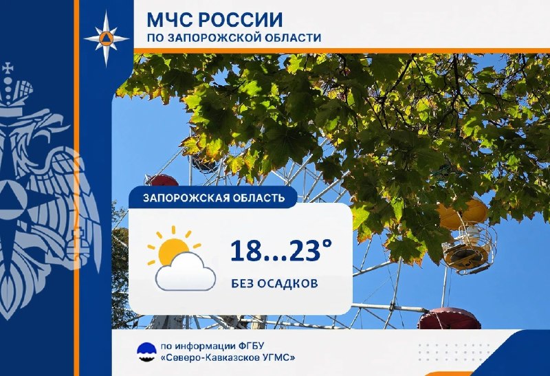 Фото поста канала  Администрация Васильевского муниципального округа