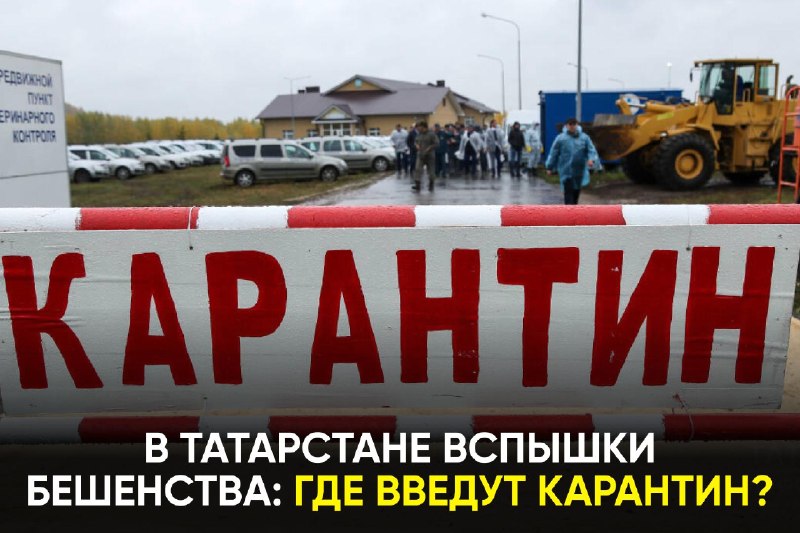 Фото поста канала  ТАТМЕДИА | Новости Казани и Татарстана