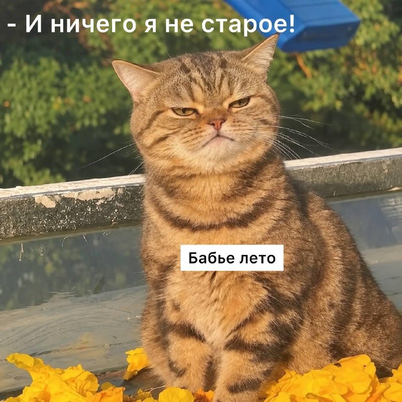 Фото поста канала Москва с огоньком