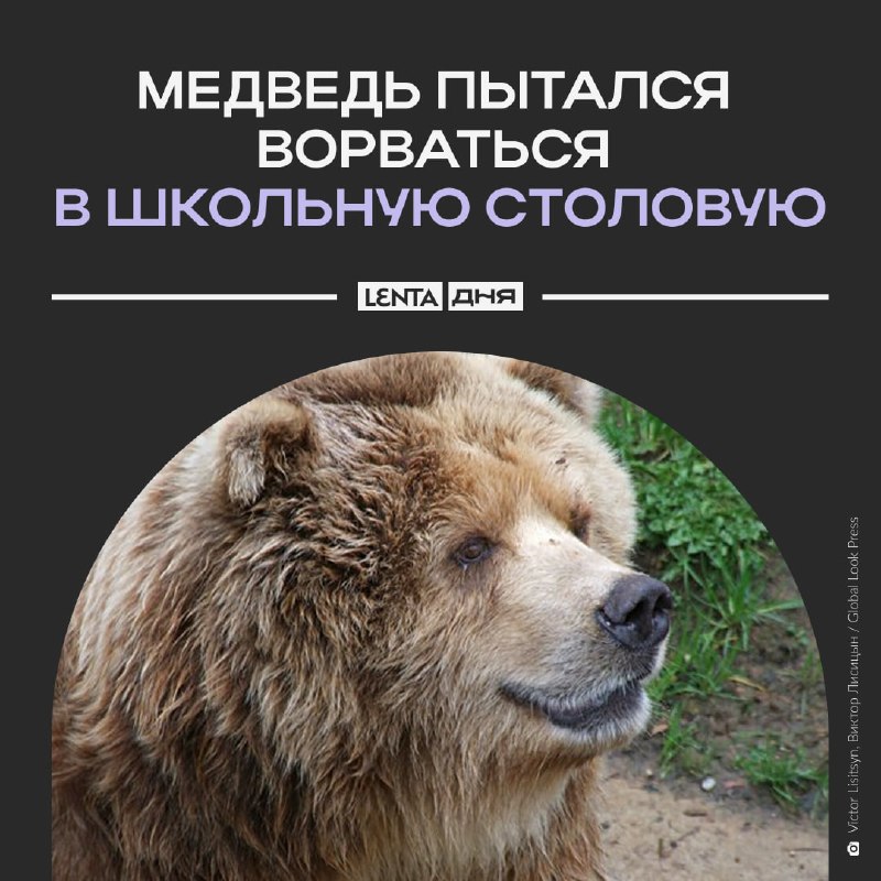 Фото поста канала Лента дня