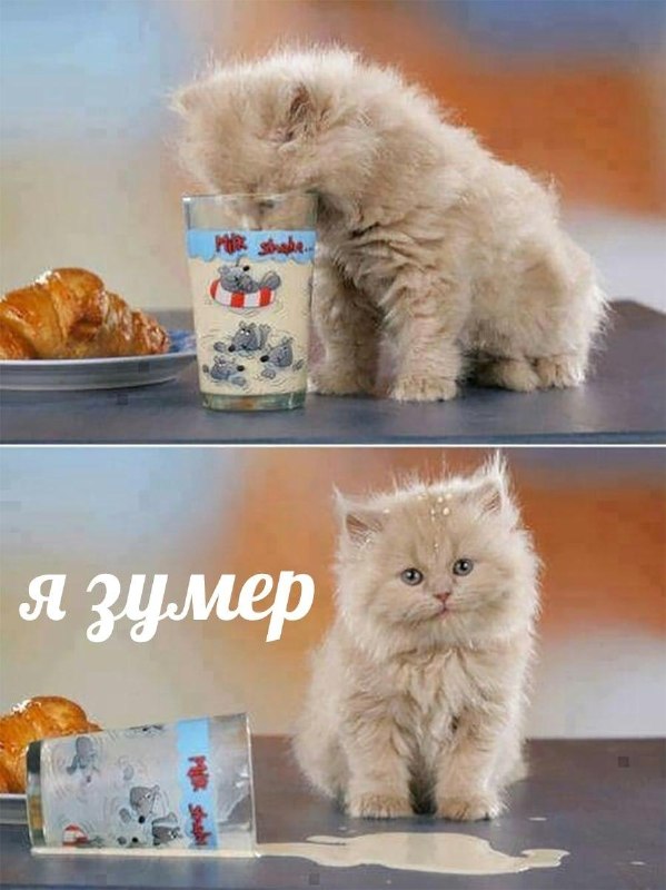 Фото поста канала  ОБЫЧНЫЙ СТАВРОПОЛЬ