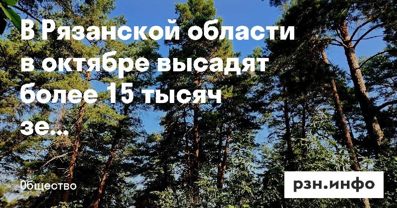 Фото поста канала  Новости Рязани • РЗН.инфо