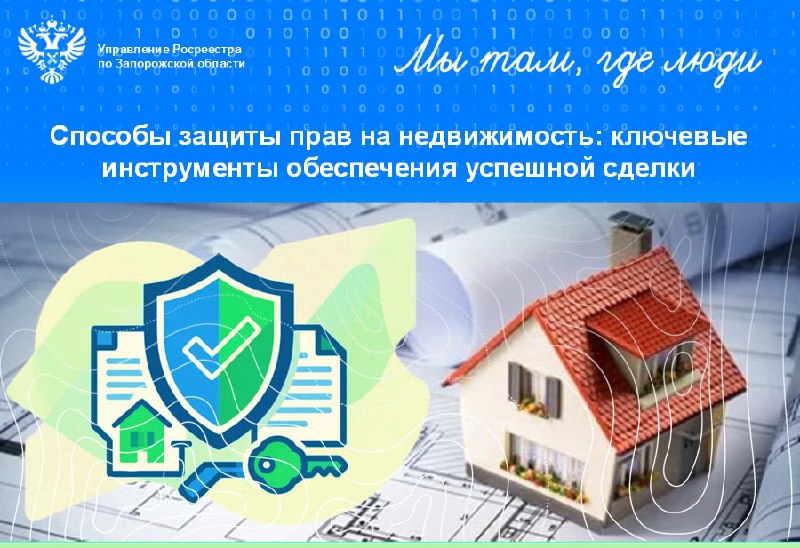 Фото поста канала  Администрация Васильевского муниципального округа