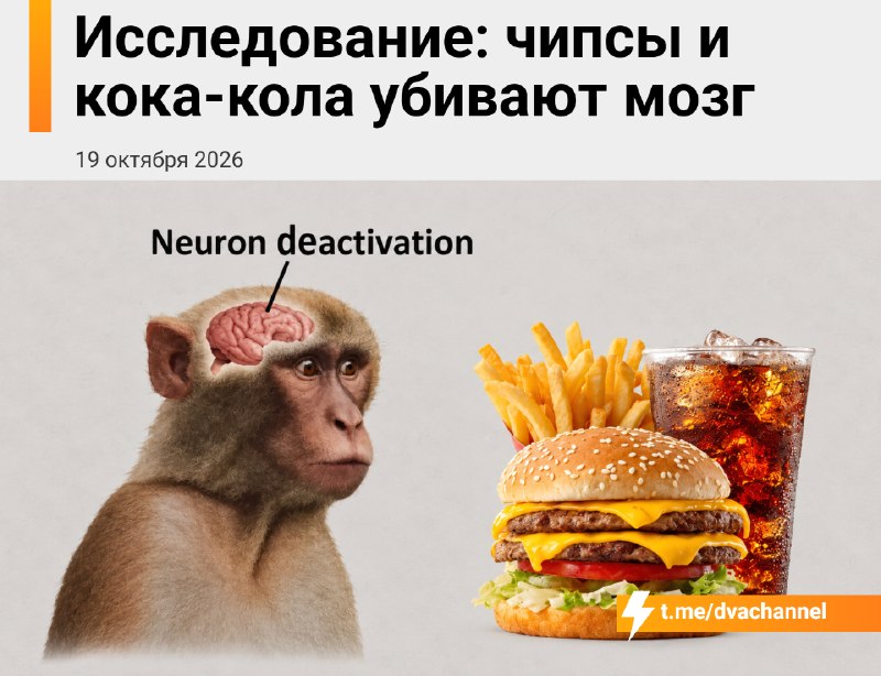 Фото поста канала Двач