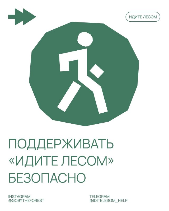 Фото поста канала Идите лесом!
