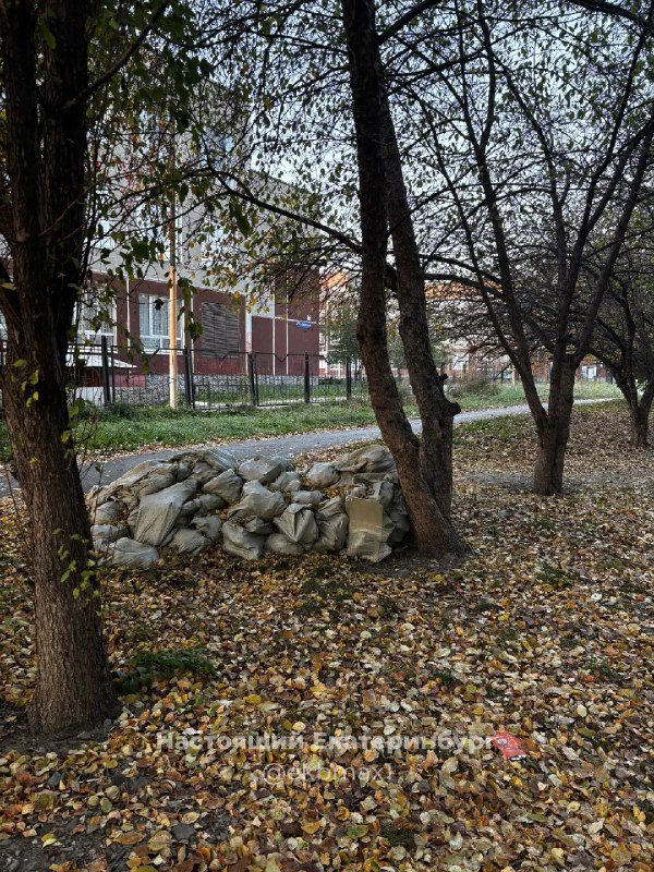 Фото поста канала  Ботаника Екатеринбург