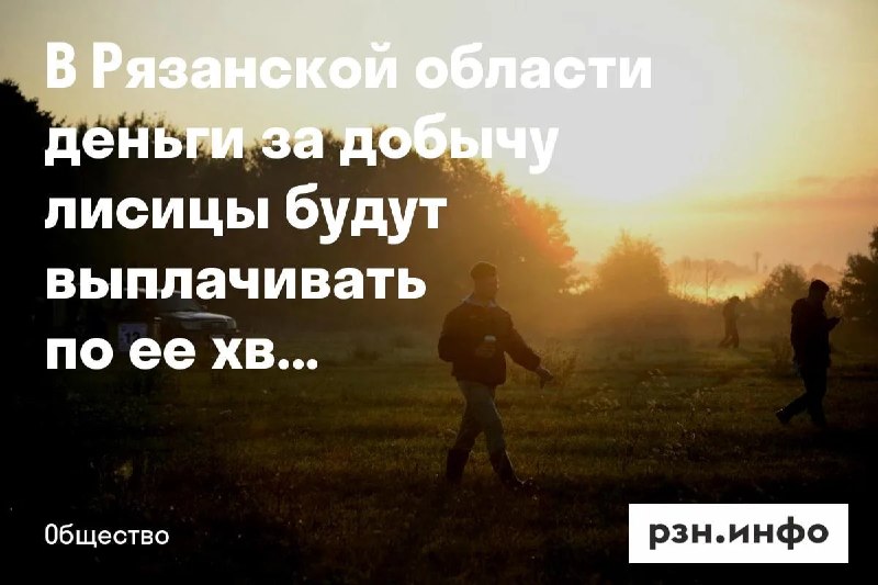 Фото поста канала  Новости Рязани • РЗН.инфо