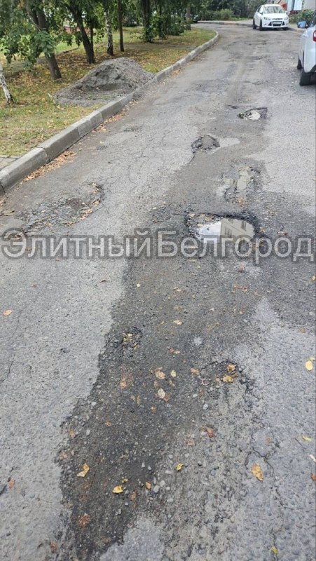 Фото поста канала  Элитный Белгород