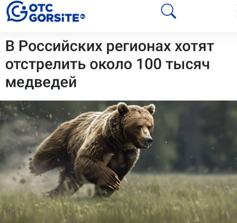 Фото поста канала  Темы. Главное (ГлавМедиа)